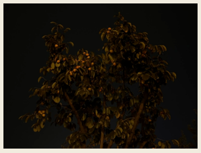 1665537252279070AEhB.png